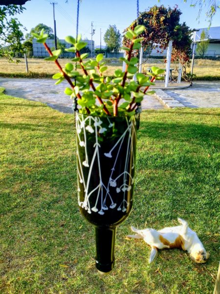 Hanging Glass Planters - Image 2