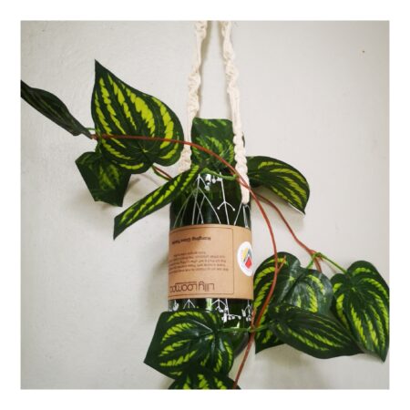 Hanging Glass Planters - Image 4