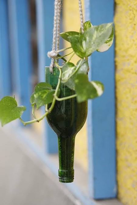 Hanging Glass Planters - Image 3