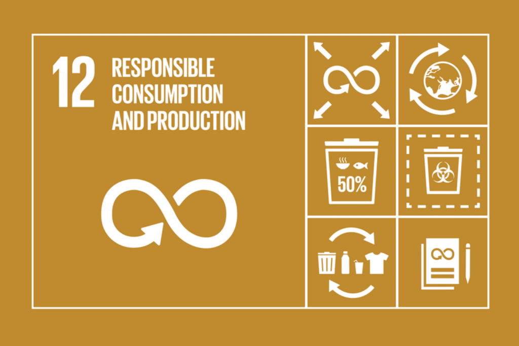 sdg 12